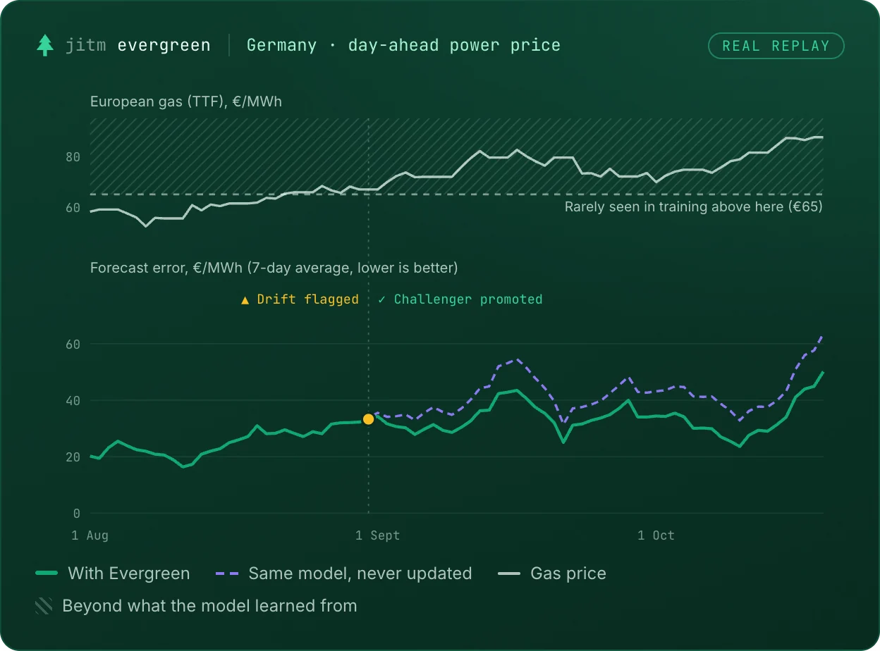 Germany, 1 August to 19 October 2026: gas price rising above the range seen in training, and forecast error. Evergreen flags drift on 31 August and promotes a challenger; after that its error stays below a copy of the model that was never updated.